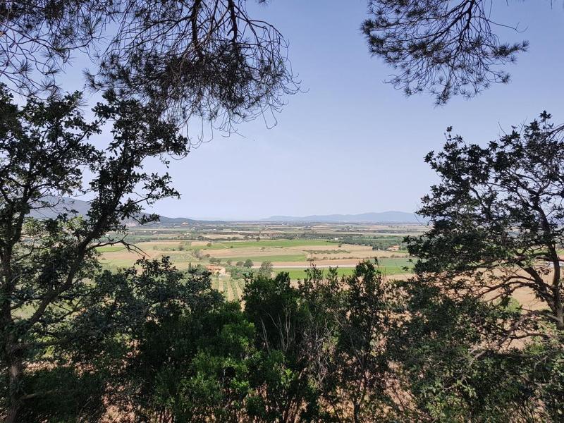 Вилла Poggio Alto Agrioturismo Гроссето Экстерьер фото